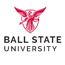 ball_state.png